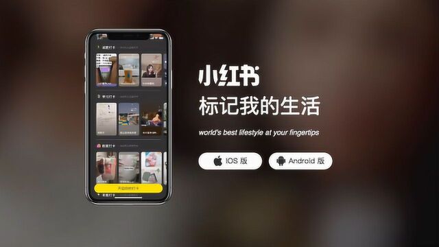 小红书回应APP被下架 全面排查整改 深入自查自纠