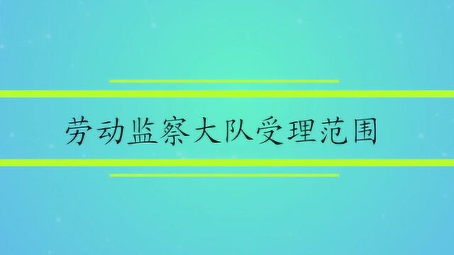 劳动监察大队受理范围