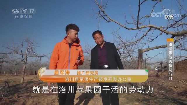 中央广播电视台这个新频道刚成立 就用50分钟讲述洛川故事