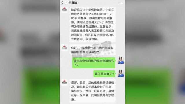 中华保险称厚本金融被立案,目前平台网站已无法打开