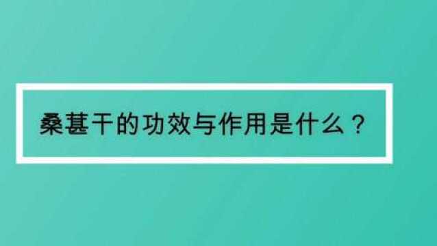 桑葚干的功效与作用是什么?