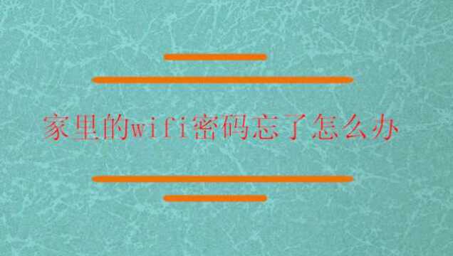 家里的wifi密码忘了怎么办?