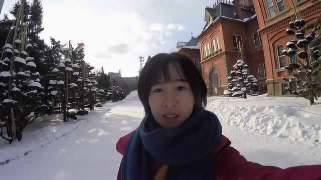 日本雪祭,北海道厅旧本厅舍到此一游