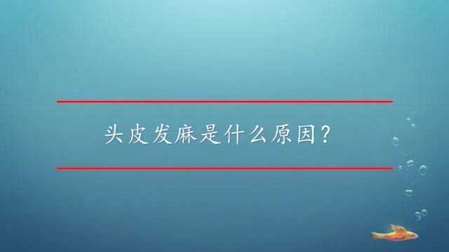 头皮发麻是什么原因?