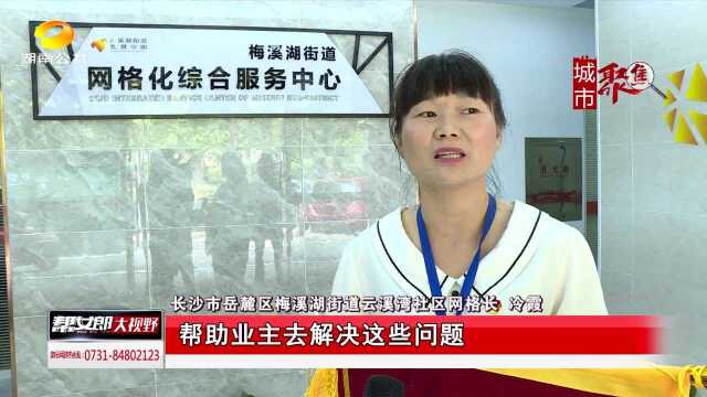 长沙市梅溪湖街道推行“135”网格化社会治理