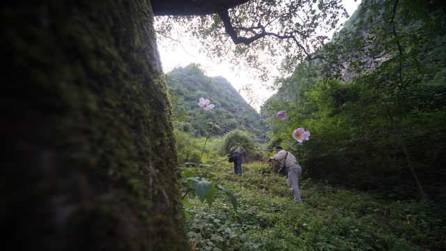 航拍汉江(22)汉江古源头,嶓冢山石牛洞,陕西汉中宁强县