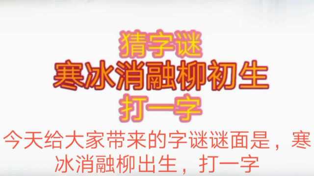 趣味猜字谜:寒冰消融柳初生,打一字,看视频,揭谜底