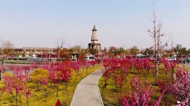 春暖花开的正定古城,古城内各旅游景点开放接待游客