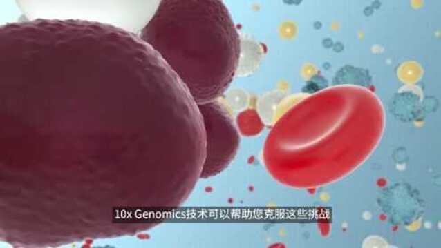 10x Genomics | 重新定义您对先天性和适应性免疫的理解