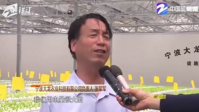 复工进行时 宁波供电公司推行“电保姆” 主动上门服务春耕