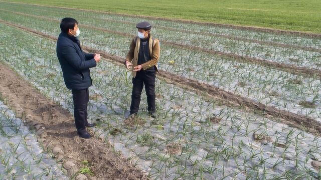 土地确权后!农村耕种是集中还是均分?新规定已经下来了