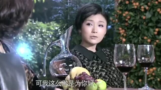 婆婆故意挑拨继子和儿媳的夫妻关系,被儿媳发现还理直气壮