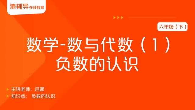 小学六年级(下)数学《数与代数(1):负数的认识》