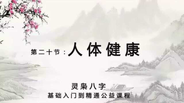 【灵枭八字】人体健康象意讲解