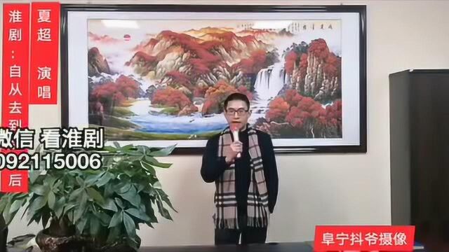 淮剧选段《自从来到金山后》 演唱:夏超