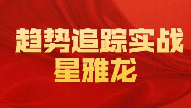 星雅龙工作室——极高胜率交易系统、 简单有效的期货交易系统