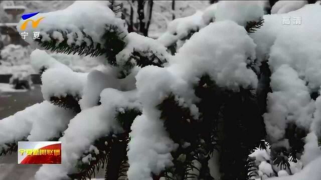 春雪润固原 山城美如画