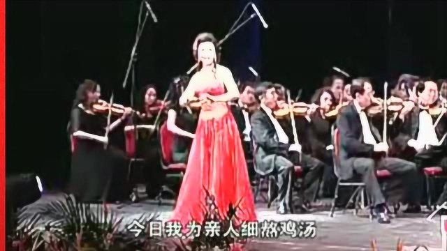 吕剧 史萍《红嫂》为亲人熬鸡汤