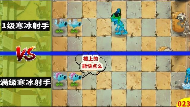 PVZ:对比1级和满级的差距之后,我明白为啥都要努力肝级别了