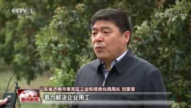 央视《晚间新闻》关注莱芜:抓大不放小 助推企业复工复产