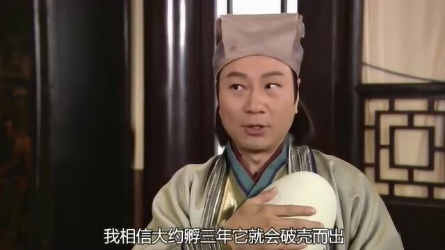 男子人体孵蛋三年,破壳后竟是护国神兽!