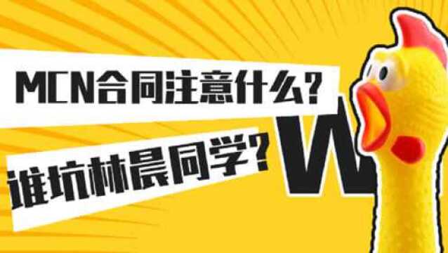 【白可老师】谁坑了林晨同学? MCN合同应该注意什么?