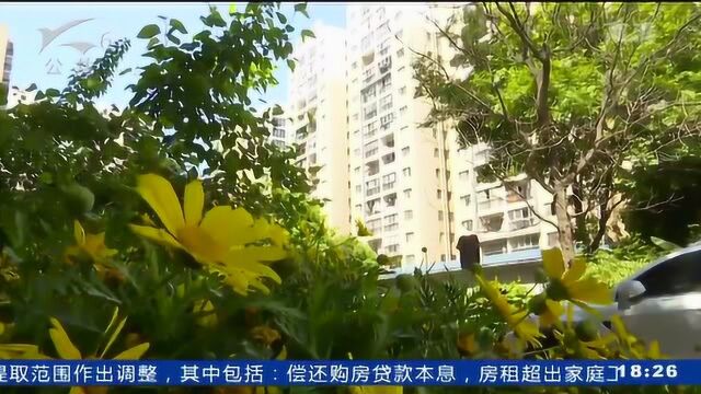 经适房转正在即 市场暂无交易