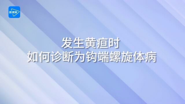 第11节:发生黄疸时,如何诊断为钩端螺旋体病?