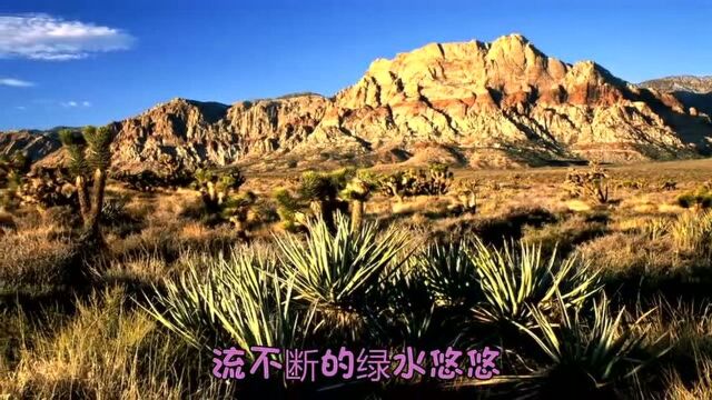 童丽唱《红豆词》,堪称神曲,推荐给大家听听