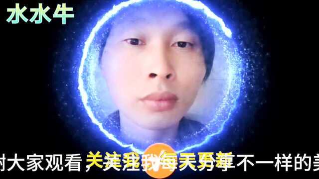 江西大叔做的凉拌小竹笋,酸辣开味、脆嫩爽口,好吃回味