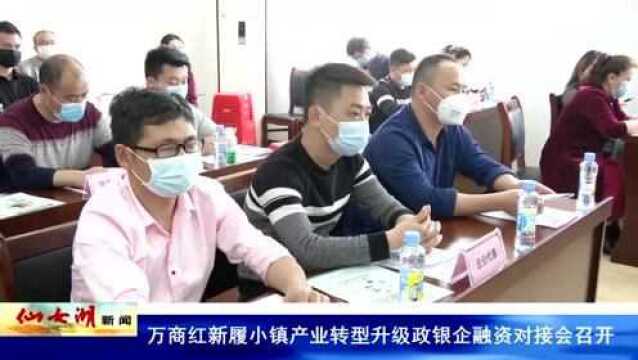 万商红新履小镇产业转型升级政银企融资对接会召开