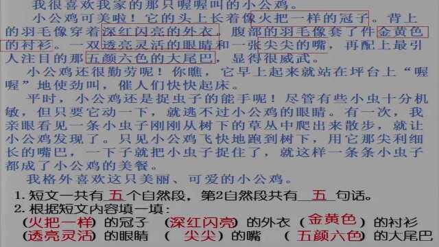 4.24二年级语文《专项复习之阅读理解》