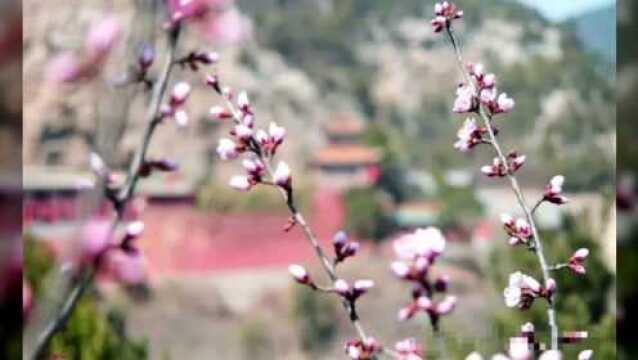 五一假期哪里去?姑射仙洞逍遥游