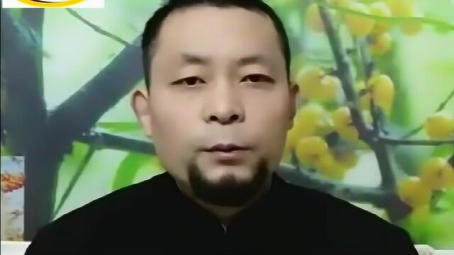 普洱茶贱卖的真相