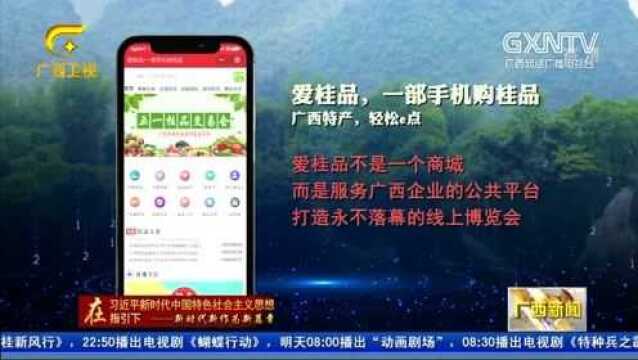 万种“桂品”网上销售 助力“广西制造”走向全球