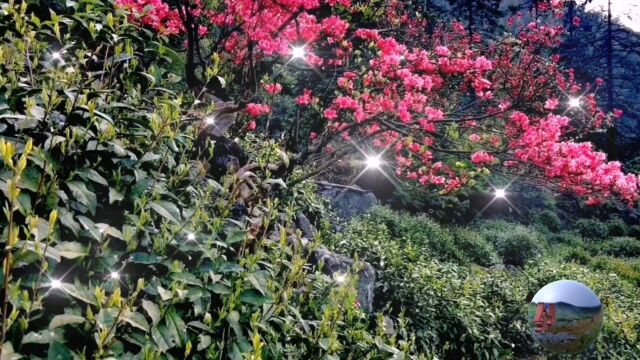 金山时雨金山村风光