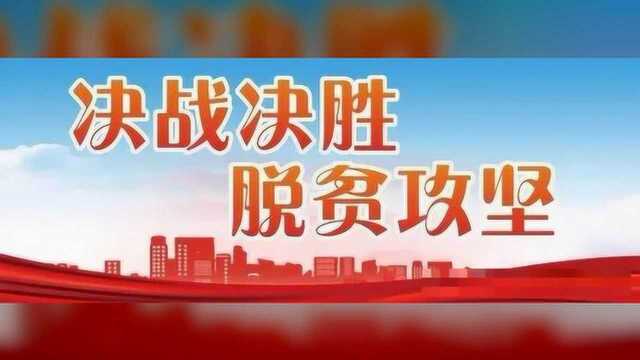 邓少华:为城市建设倾情奉献