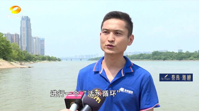 (湖南“加速度”)长沙龙王港补水工程全线通水