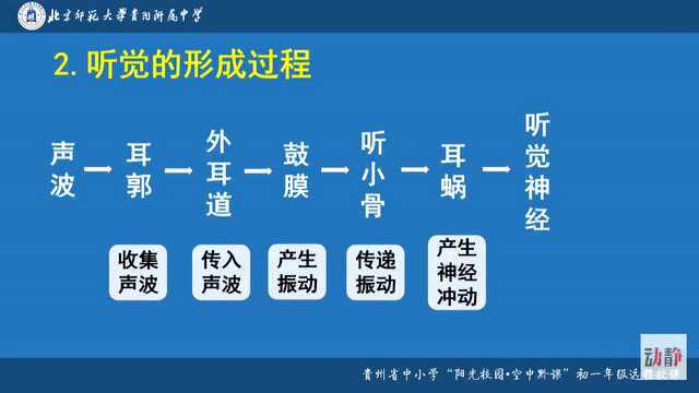 0507004初一年级生物《人体对外界环境的感知》(第2课时)