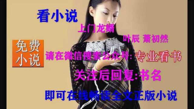 上门龙婿叶辰视频DVD版全集