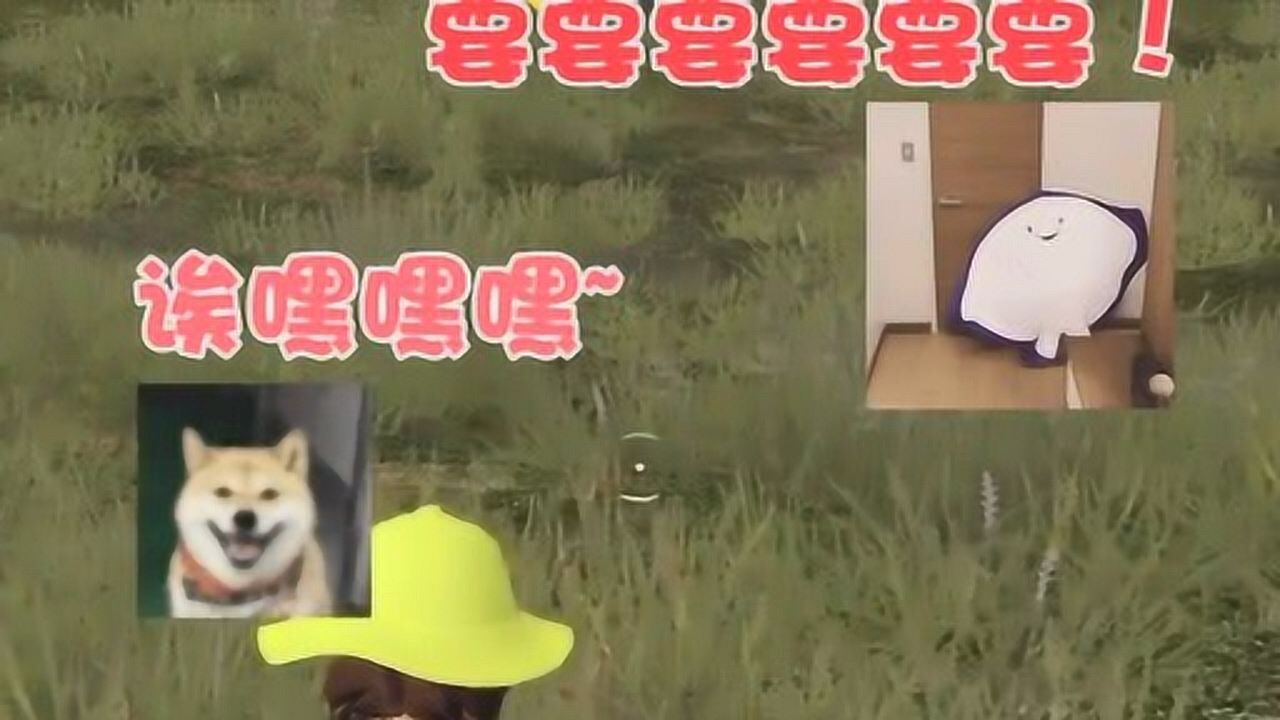 六嘉和林颜安娜和狗子酱也是你能欺负的吗