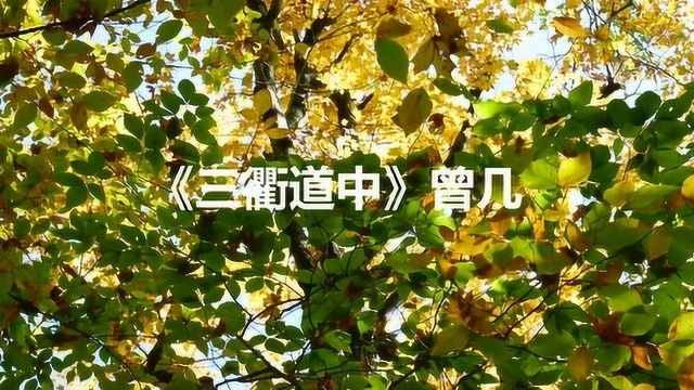 三衢道中曾几,梅子黄时日日晴,小溪泛尽却山行,绿阴不减来时路