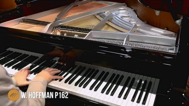 W.Hoffmann 霍夫曼三角钢琴 P162贝希斯坦旗下C.Bechstein