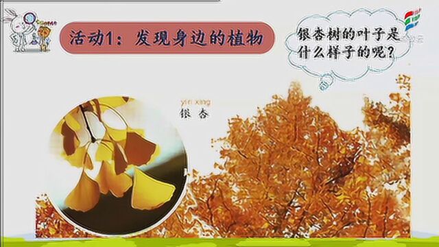 一年级科学(粤教版)《校园里的植物》