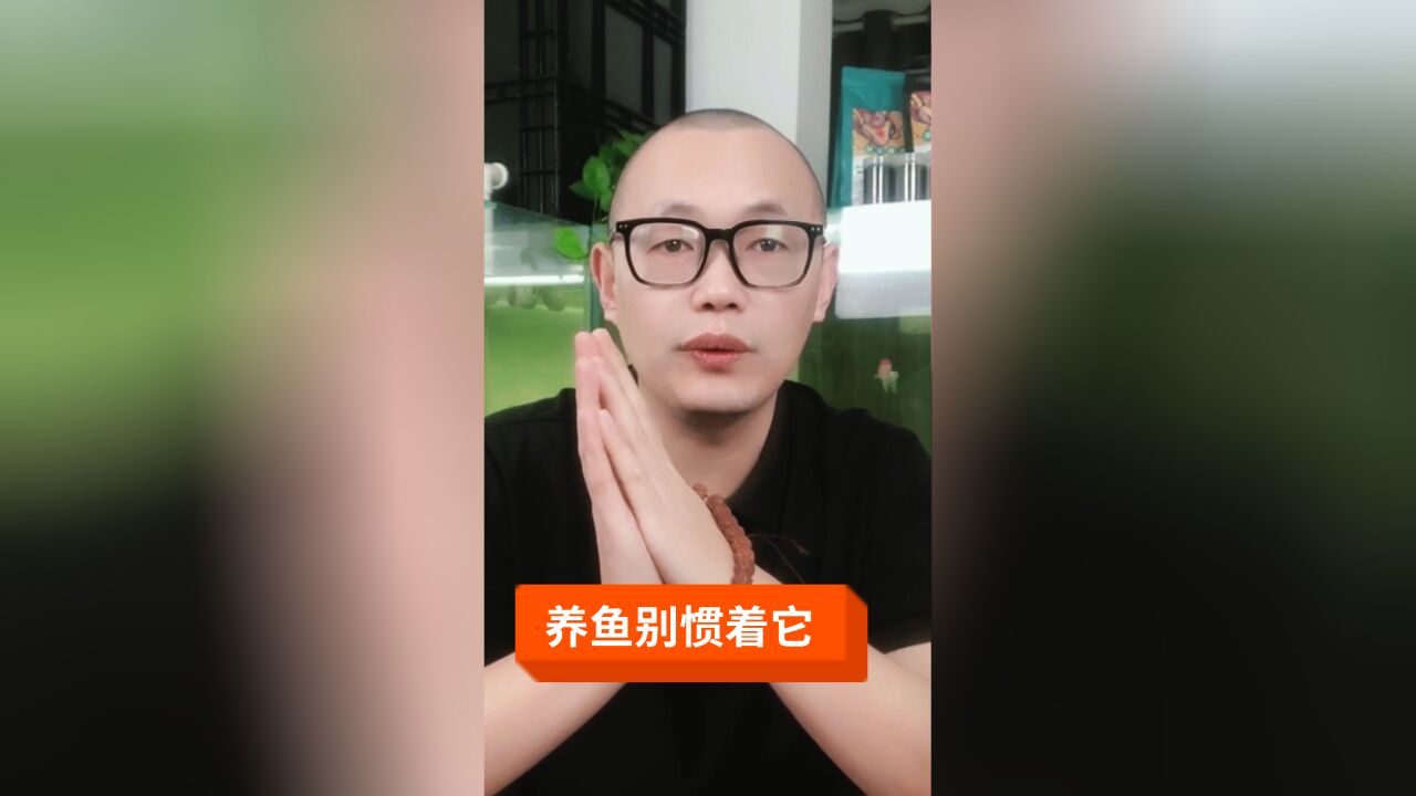 养鱼您别太惯着它