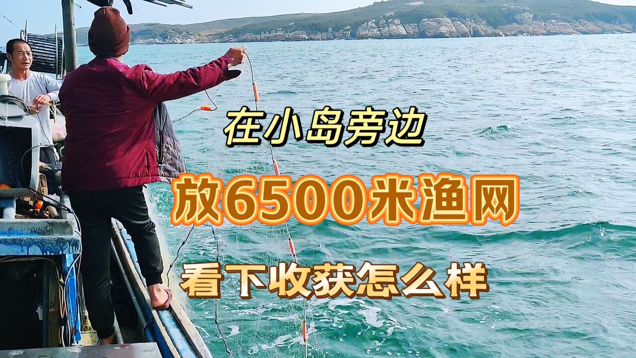 前往外海的小岛捕鱼,把6500米渔网放在小岛旁边,看下收获怎么样