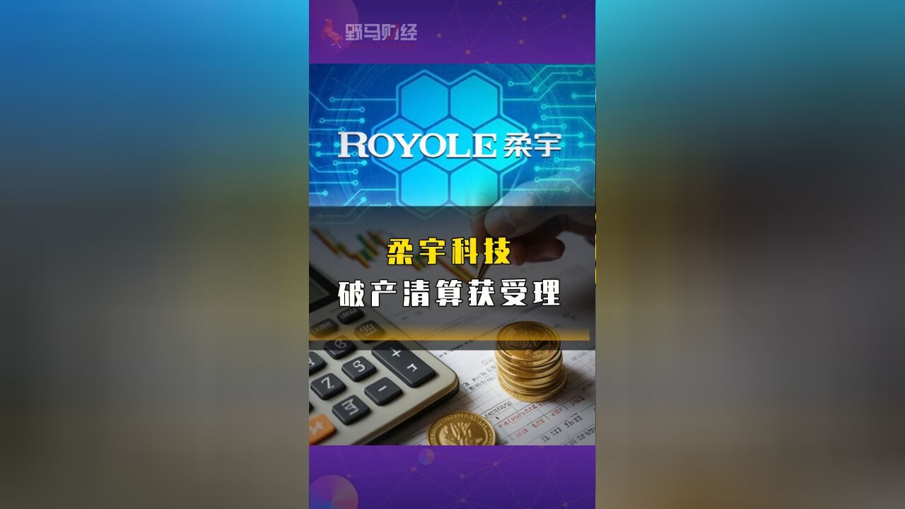 柔宇科技破产清算获受理,柔宇是如何走到这一步的?