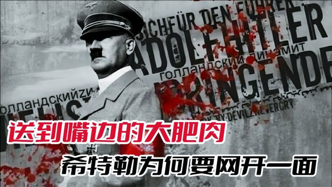 敦刻尔克大逃亡:面对33万被围盟军,希特勒为何要下令停止进攻?