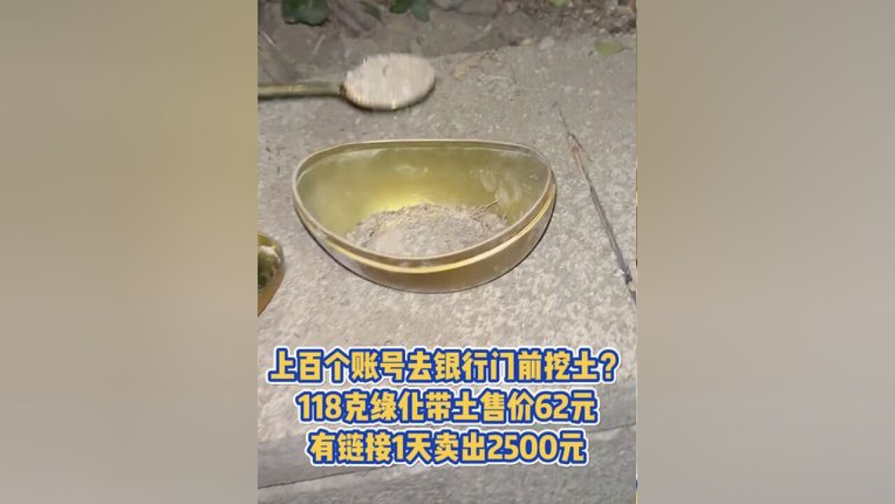 上百个账号去银行门前挖土?118克绿化带土售价62元,有链接1天卖出2500元