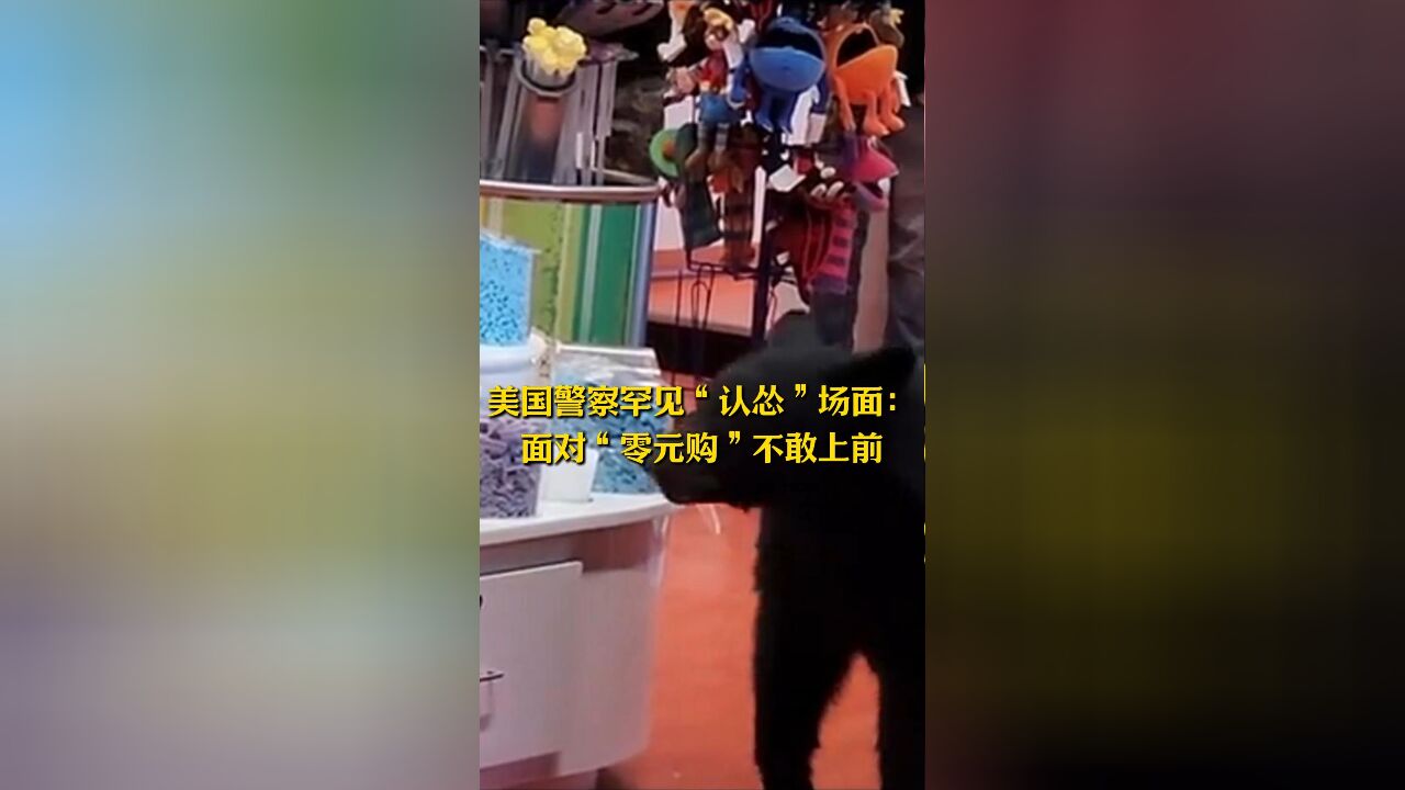 美国警察罕见“认怂”场面:面对“零元购”不敢上前